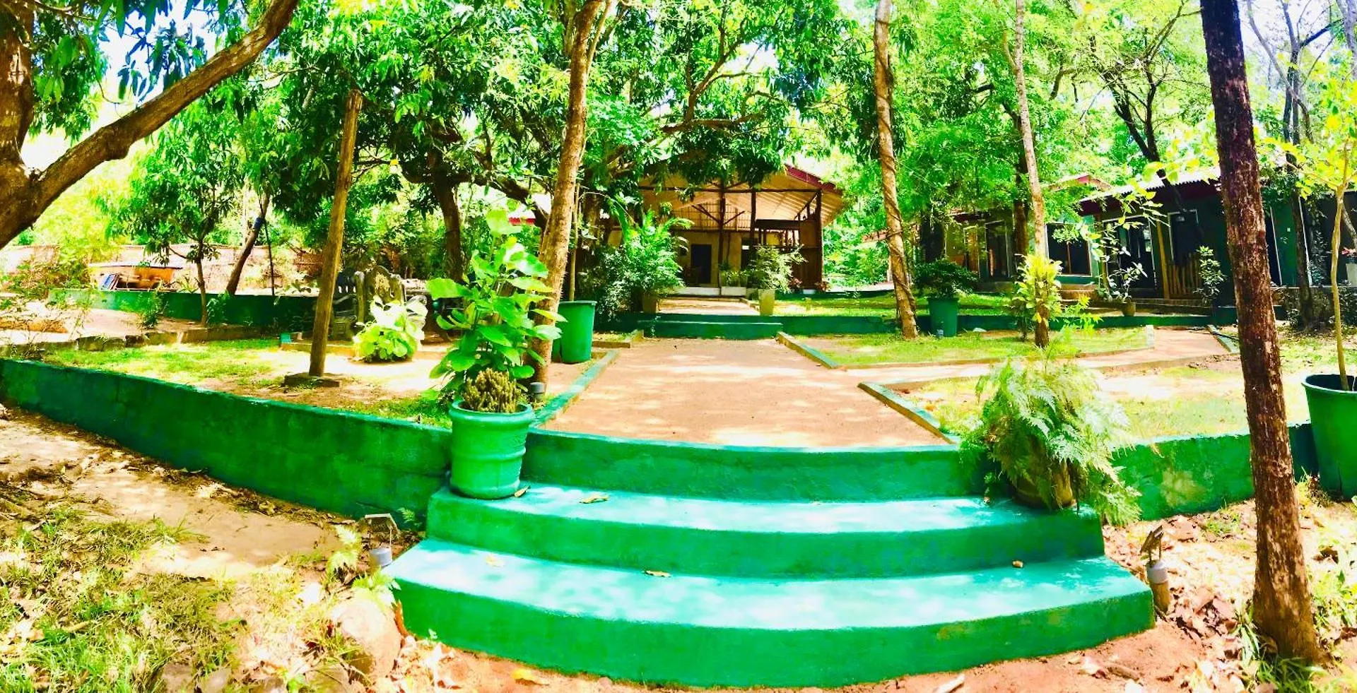 Green Senz By Wildflower Sigiriya