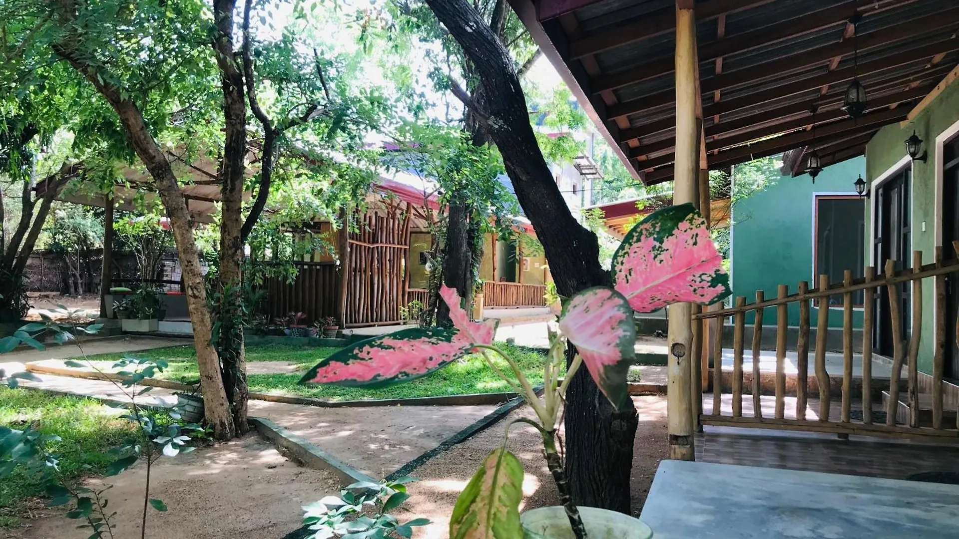 Green Senz By Wildflower Sigiriya Sri Lanka