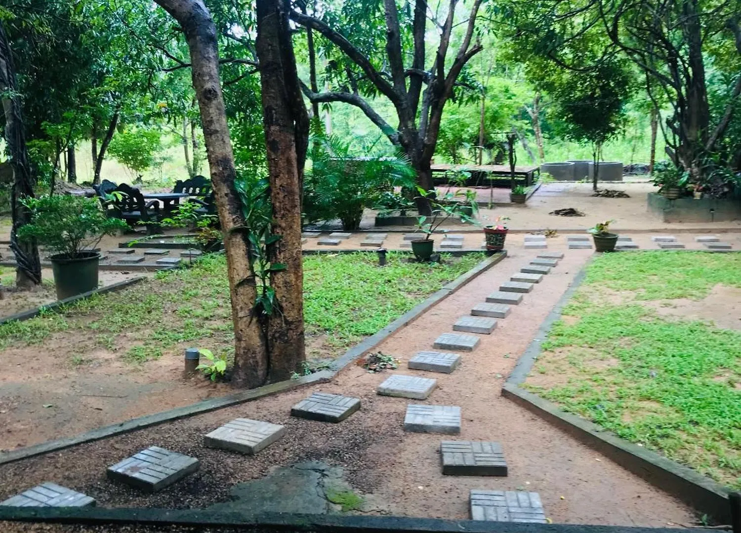 Hotel Green Senz By Wildflower Sigiriya