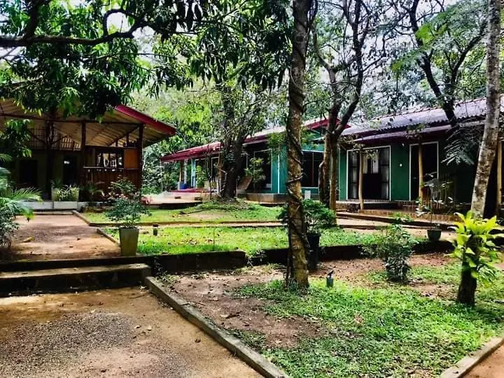 Hotel Green Senz By Wildflower Sigiriya Sri Lanka